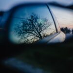 Träd som reflekteras i sidospeglarna på bil